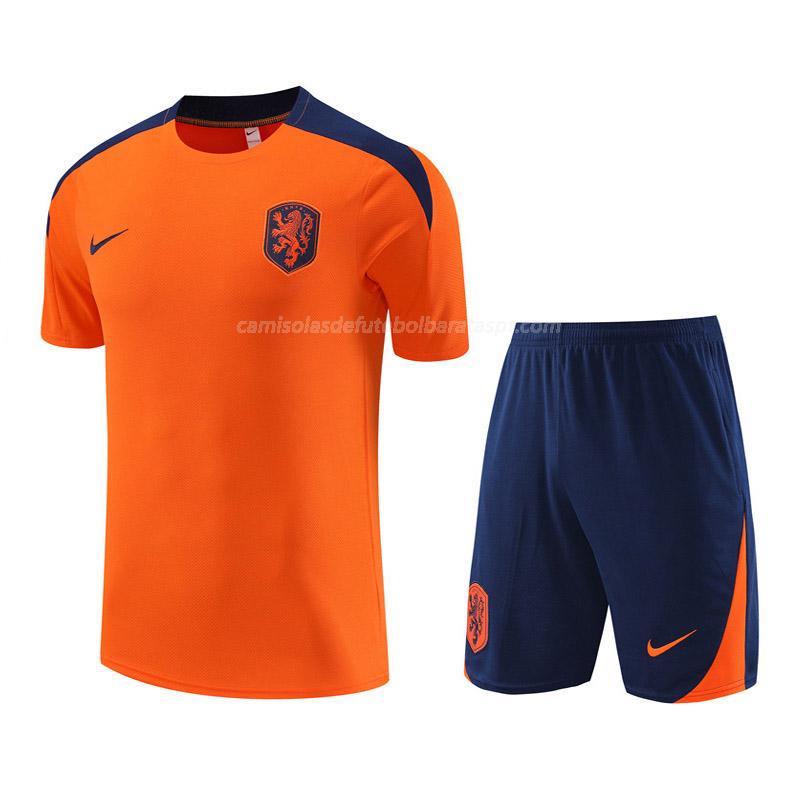camisola training e calças holanda laranja 2024